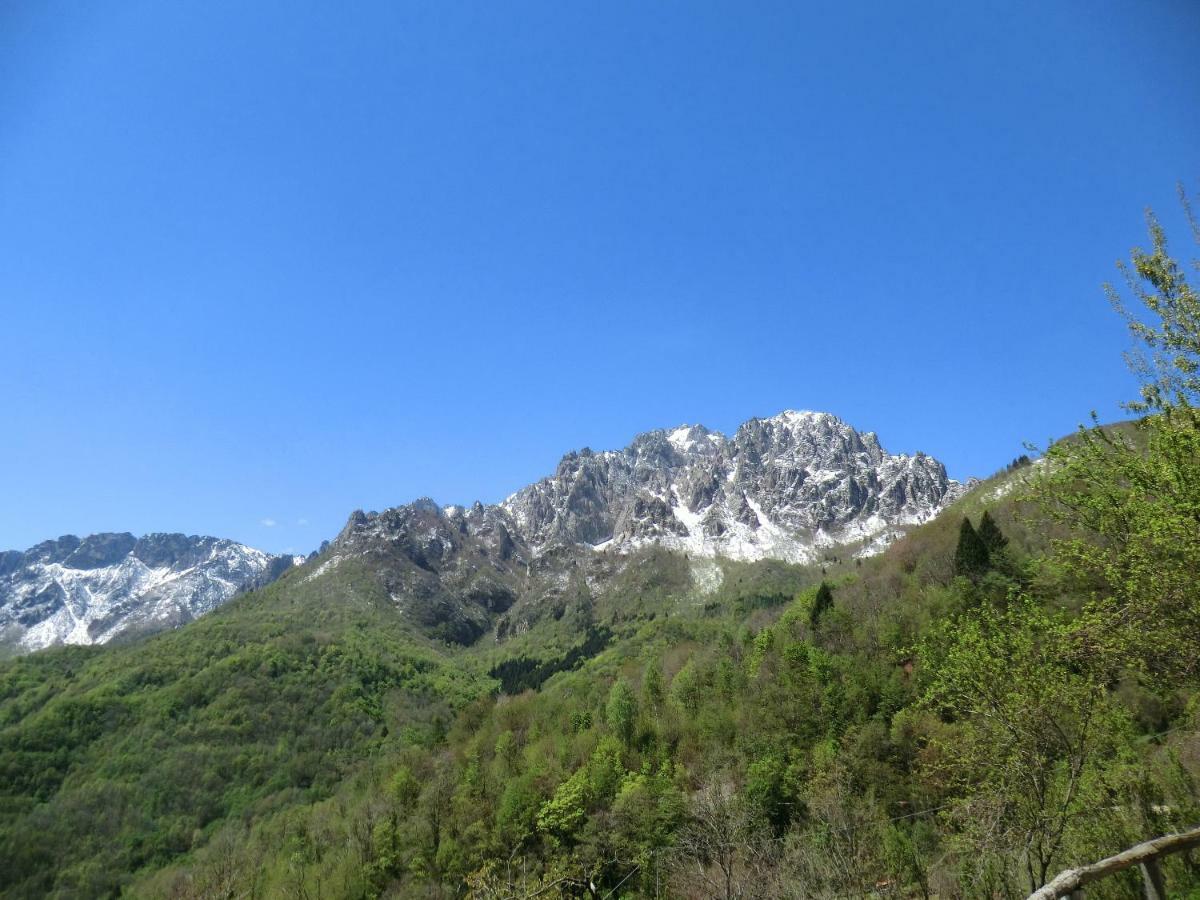 ホテルTrekking House Pasubio ヴァッリ・デル・パズービオ エクステリア 写真